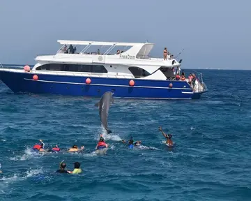 Dolphin House 